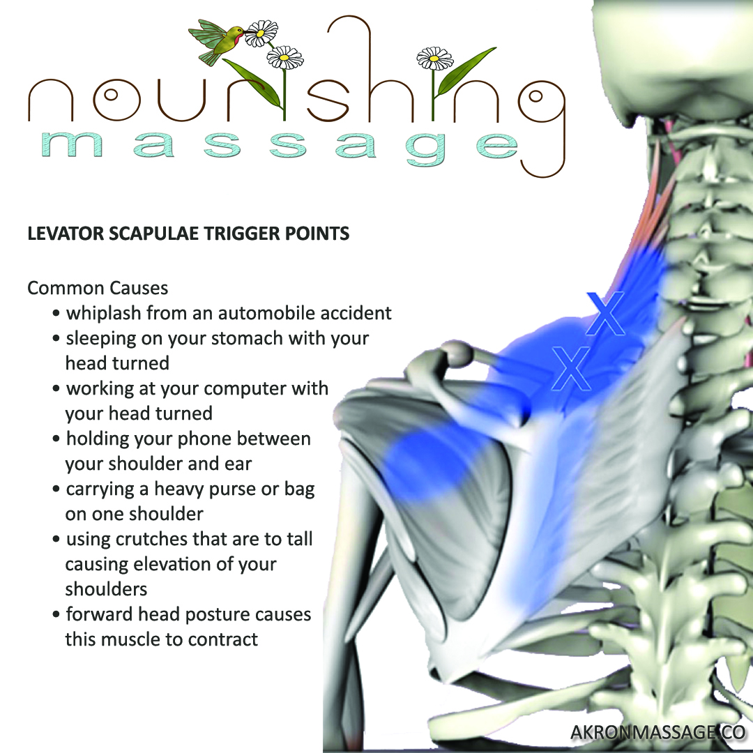 Neck & Shoulders & Back Massage - Li's Massage Therapy and Reflexology