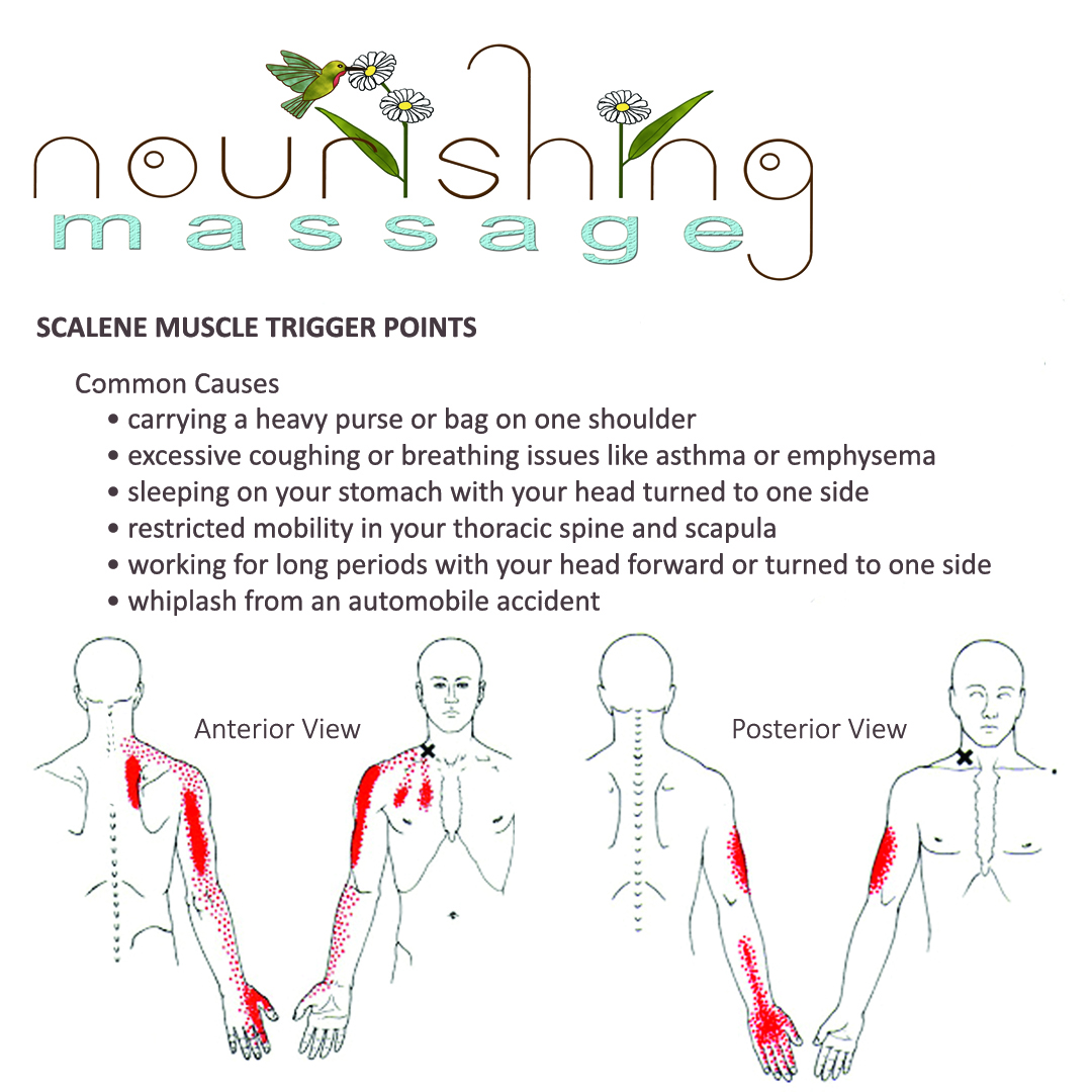 scalene-trigger-point-release-and-stretch-nourishing-massage